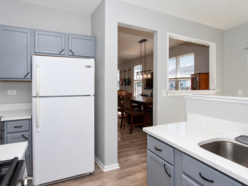 28903 Bayberry Court Lakemoor IL 60051