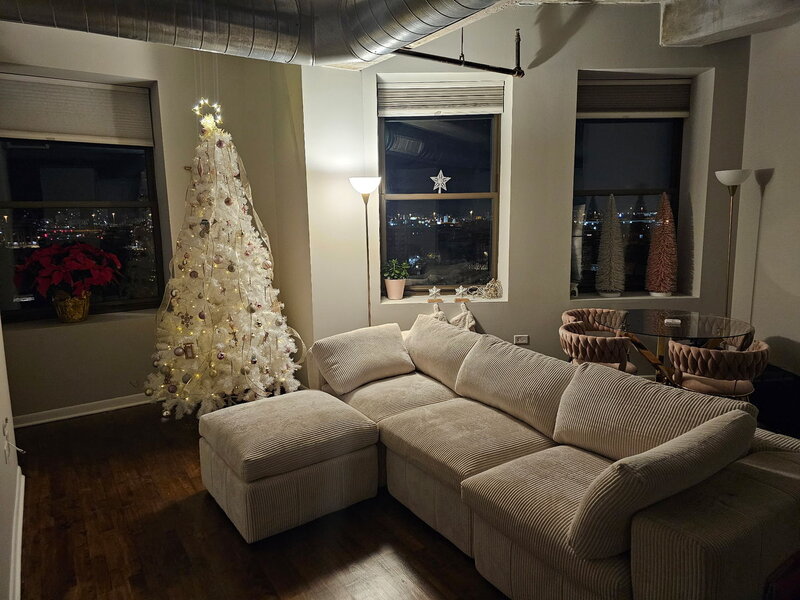 1550 S Blue Island Street Chicago IL 60608