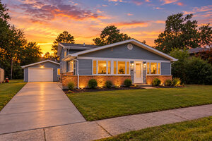 Photo of 117 Wilson Street Park Forest IL 60466
