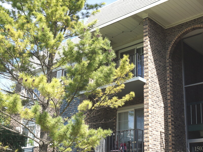 1503 N Windsor Drive Arlington Heights IL 60004