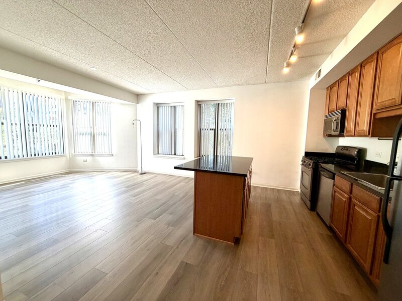 1250 S Indiana Avenue Chicago IL 60605