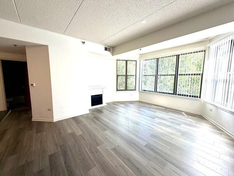 1250 S Indiana Avenue Chicago IL 60605