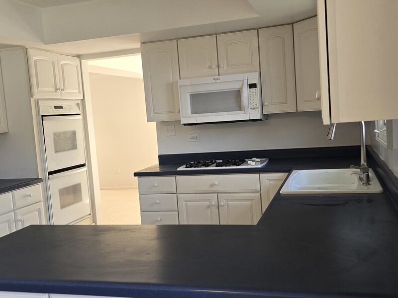2020 E 169th Place South Holland IL 60473