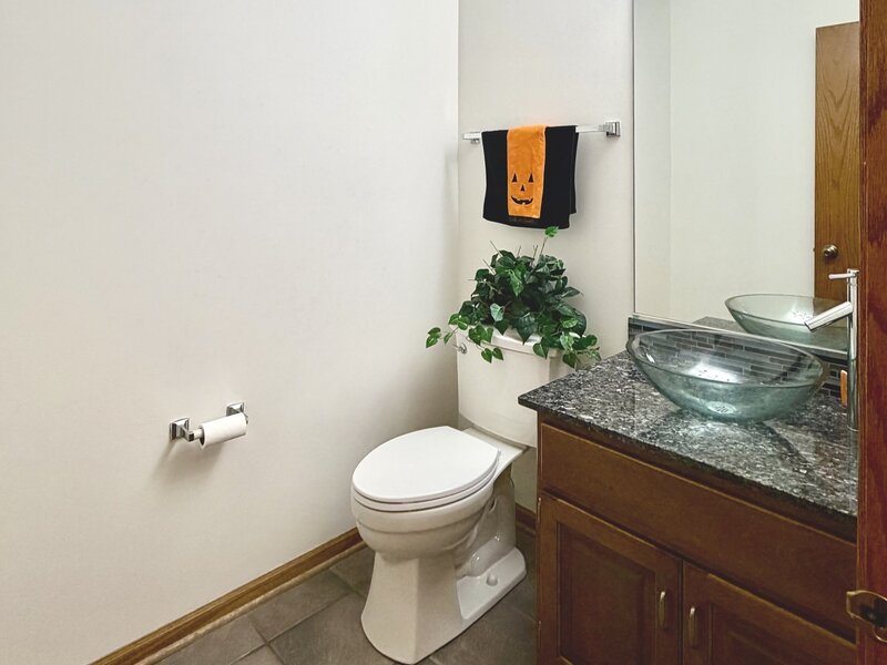 19339 Lisadell Drive Tinley Park IL 60487