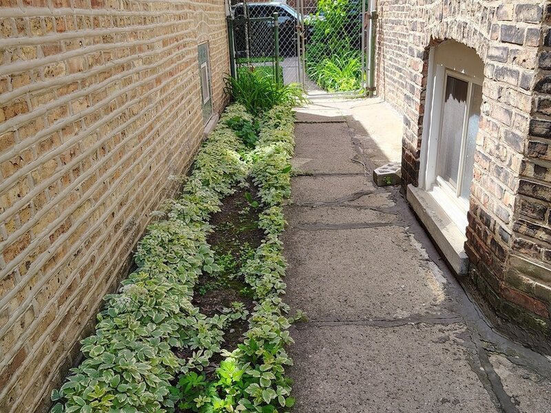 2243 N Kedvale Avenue Chicago IL 60639