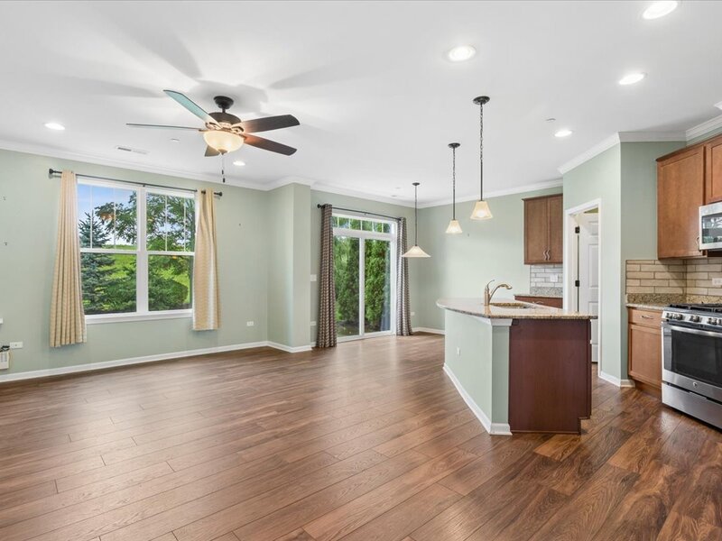 16134 W Coneflower Drive Lockport IL 60441