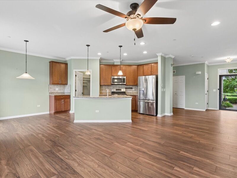 16134 W Coneflower Drive Lockport IL 60441