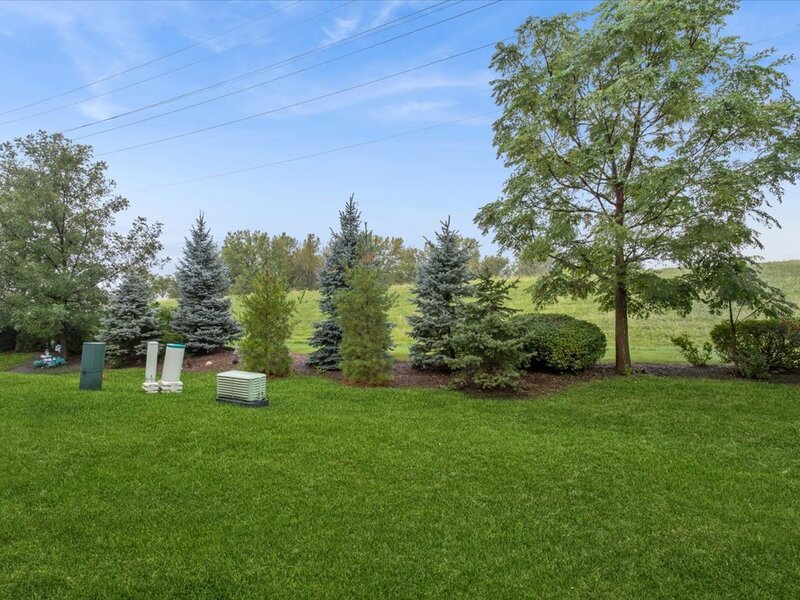 16134 W Coneflower Drive Lockport IL 60441