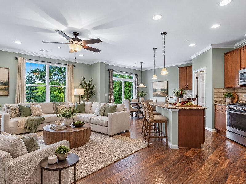 16134 W Coneflower Drive Lockport IL 60441