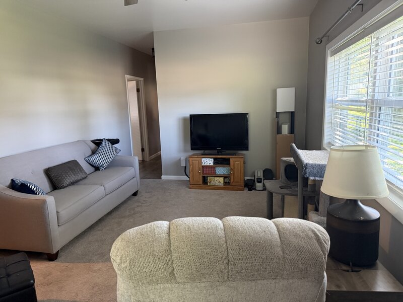 206 S 1st Street Cherry IL 61317
