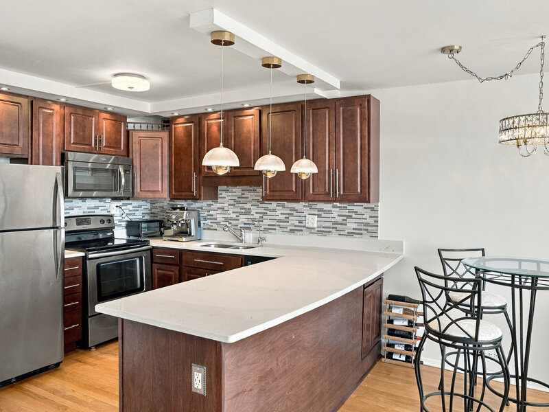 1460 N Sandburg Terrace Chicago IL 60610