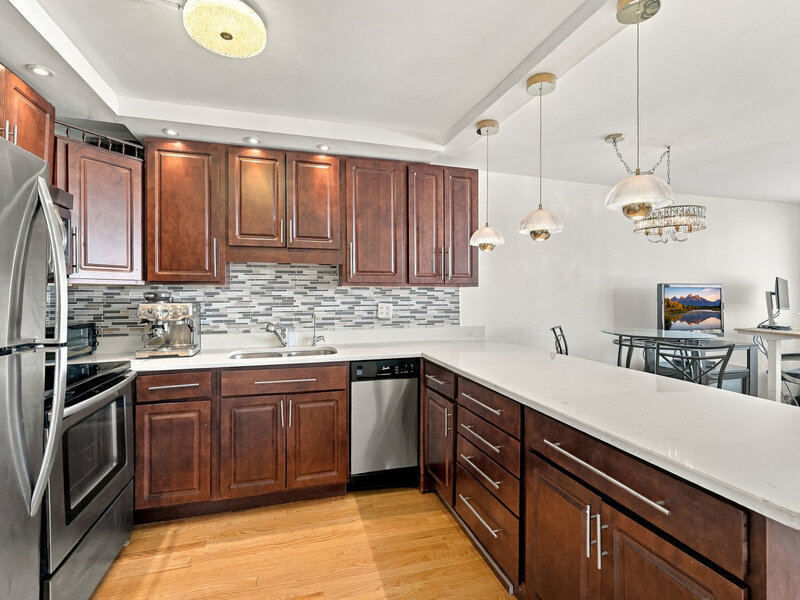 1460 N Sandburg Terrace Chicago IL 60610
