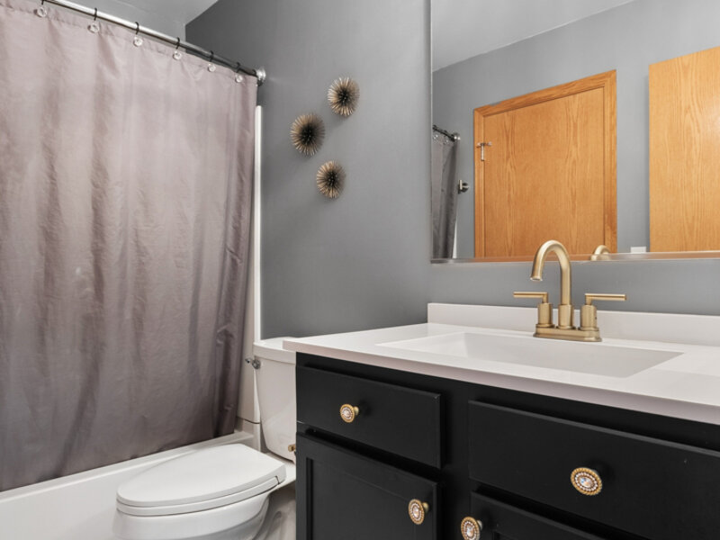1242 Courtland Circle Plainfield IL 60586