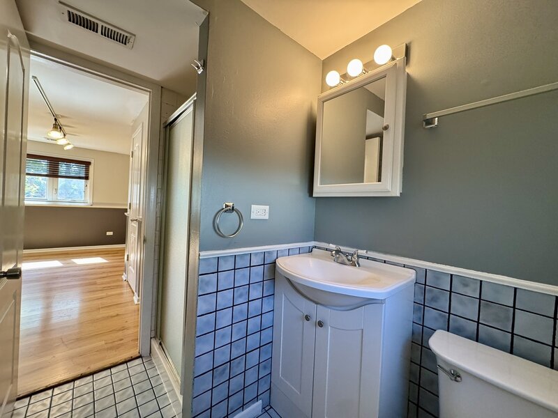 3008 W 110th Place Chicago IL 60655