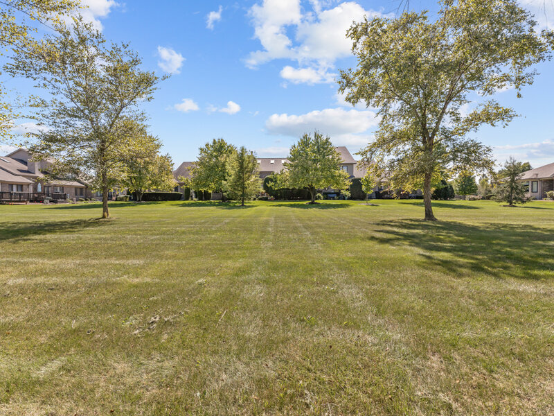 10472 Brookridge Creek Drive Frankfort IL 60423