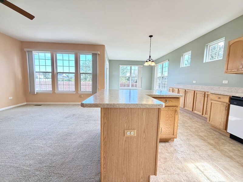 21100 Serene Lake Way Crest Hill IL 60403