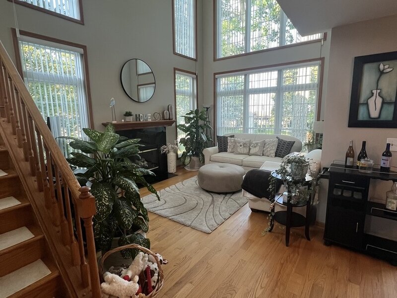 413 Country Lane Court Wauconda IL 60084