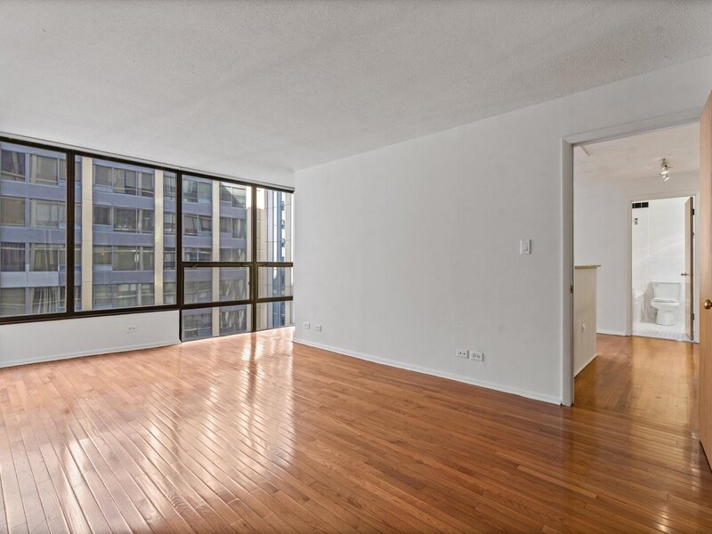 230 E Ontario Street Chicago IL 60611