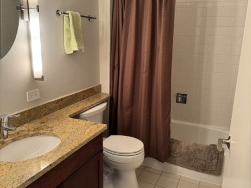 445 E North Water Street Chicago IL 60611