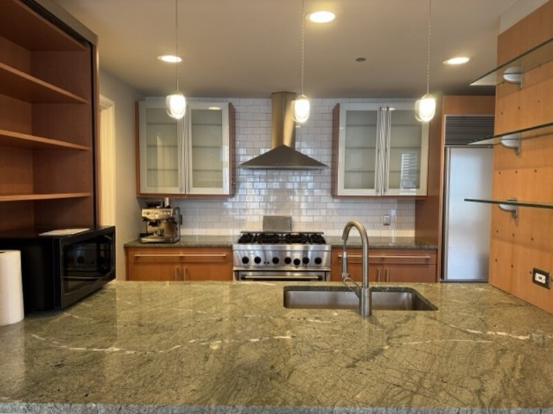 445 E North Water Street Chicago IL 60611