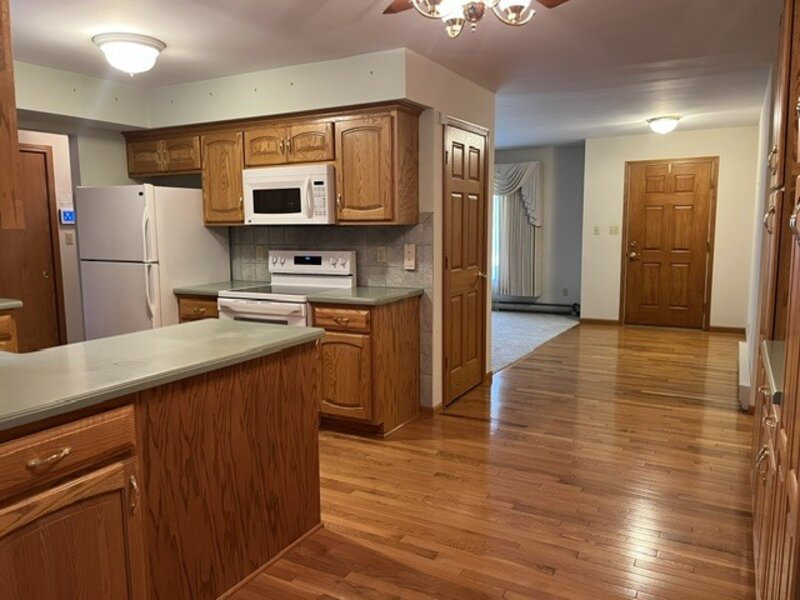 207 Illini Drive Minooka IL 60447