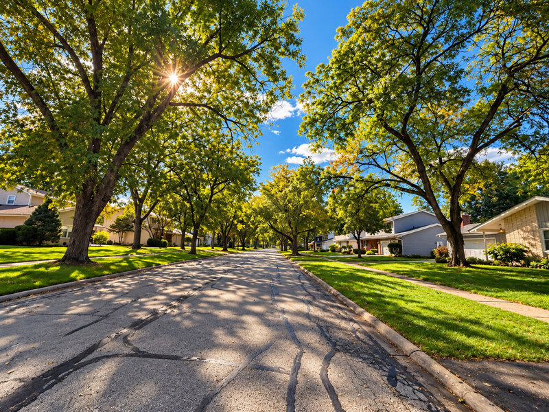 1413 Swallow Street Naperville IL 60565