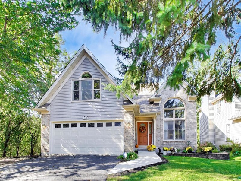 250 Knoll Street Wheaton IL 60187