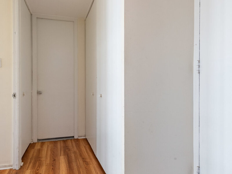1450 E 55th Street Chicago IL 60615