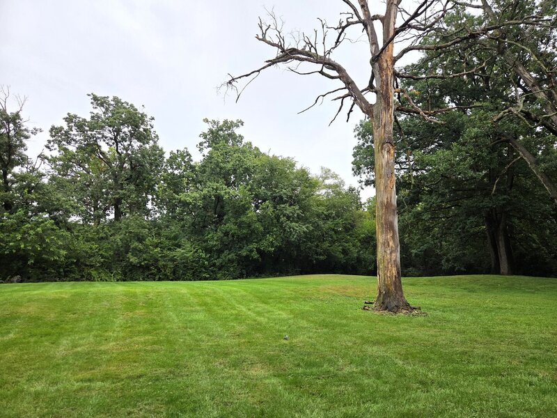 10213 S 86th Terrace Palos Hills IL 60465
