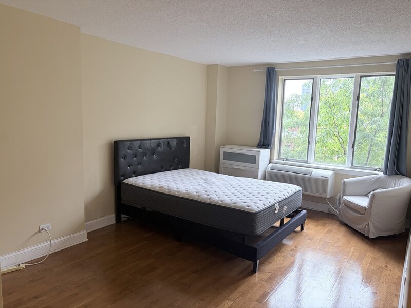 801 S Plymouth Court Chicago IL 60605