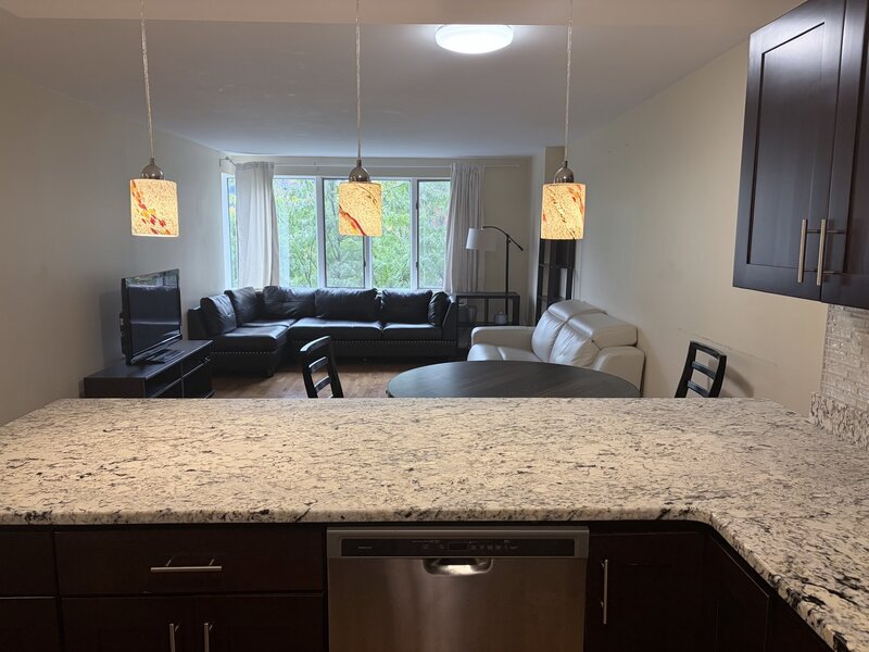 801 S Plymouth Court Chicago IL 60605
