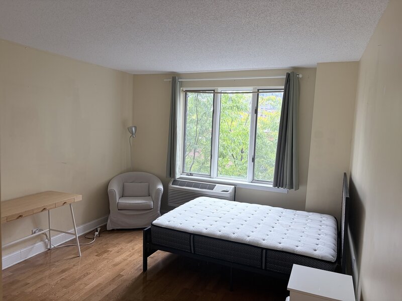 801 S Plymouth Court Chicago IL 60605