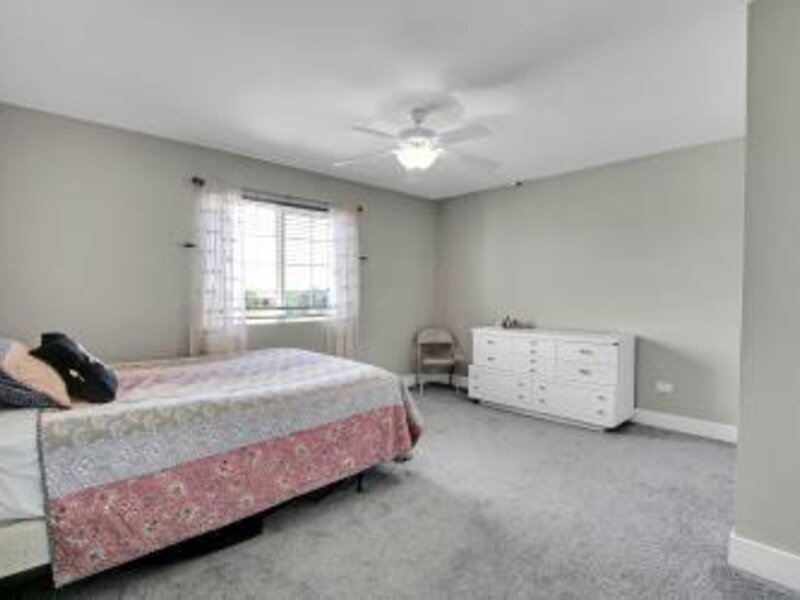 4841 W Falcon Court Monee IL 60449