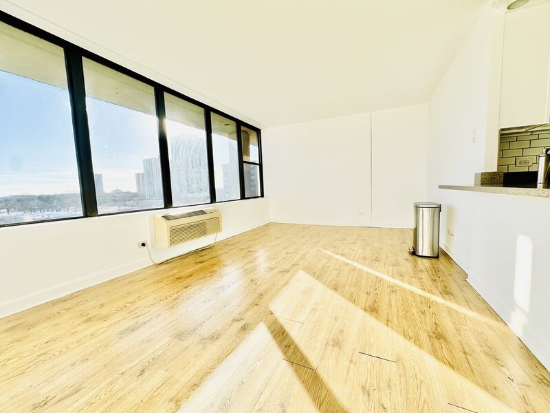 345 E Eastgate Place Chicago IL 60616