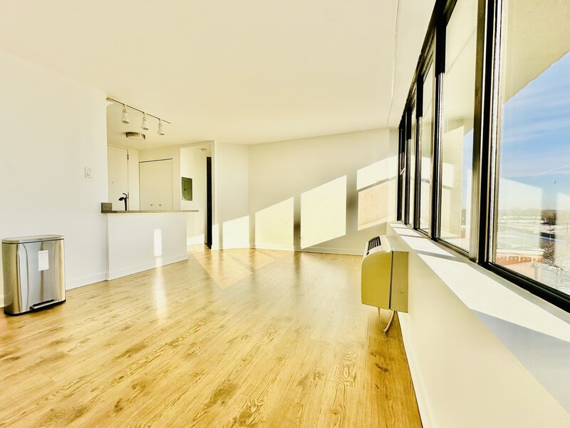 345 E Eastgate Place Chicago IL 60616