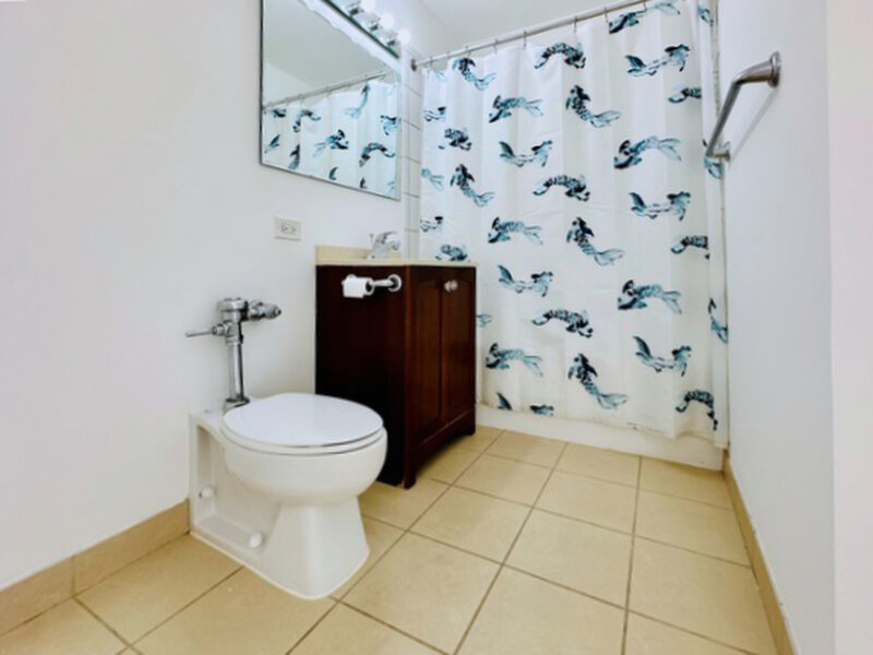 345 E Eastgate Place Chicago IL 60616