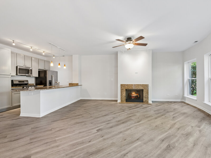 1450 S Halsted Street Chicago IL 60607