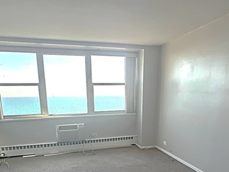 1150 N Lake Shore Drive Chicago IL 60611