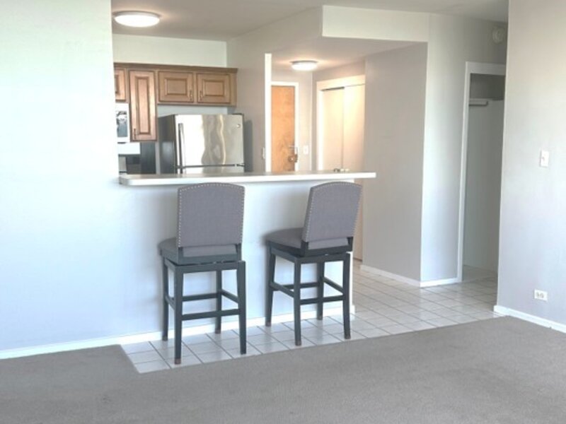 1150 N Lake Shore Drive Chicago IL 60611