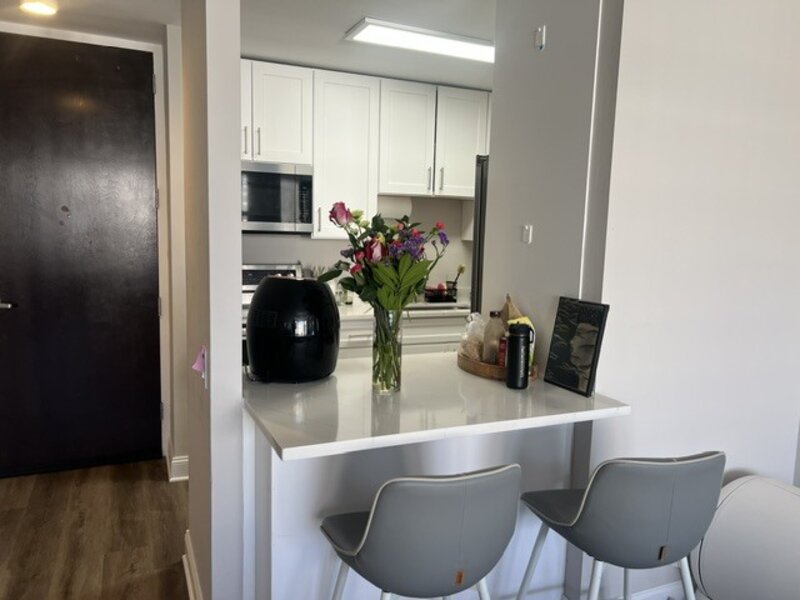 535 N Michigan Avenue Chicago IL 60611