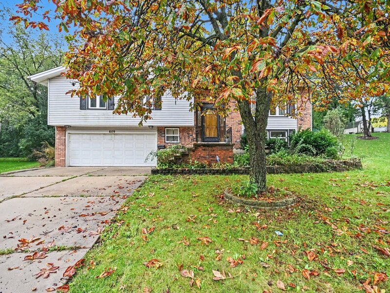 609 Tilipi Lane Schaumburg IL 60193