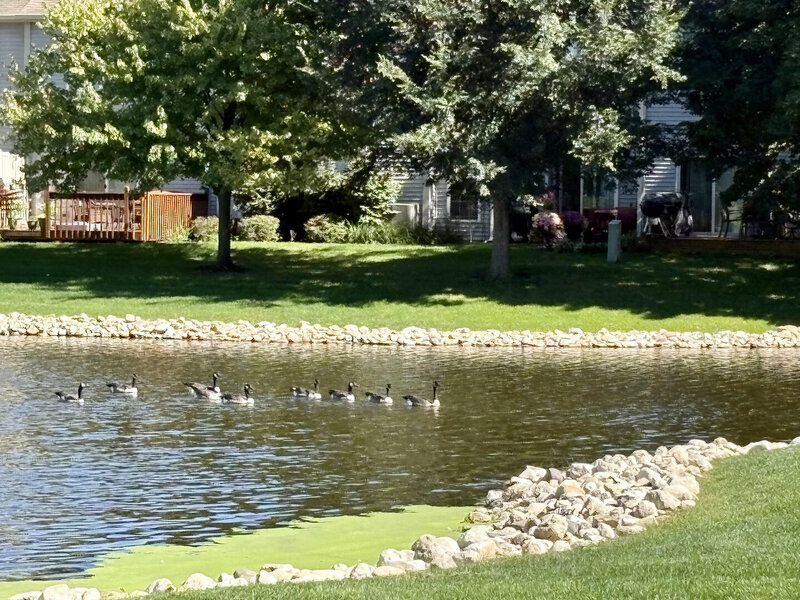 730 Ripple Brook Lane Elgin IL 60120