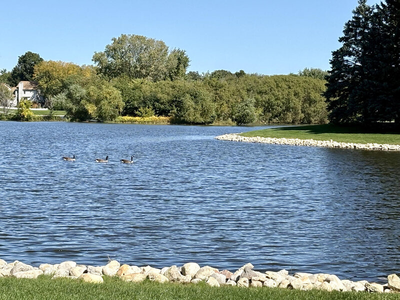 730 Ripple Brook Lane Elgin IL 60120