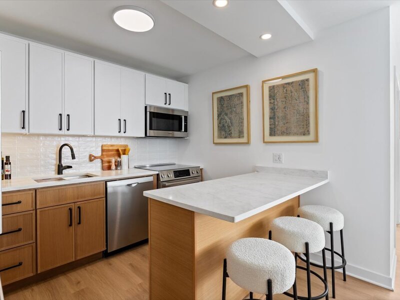 1355 N Sandburg Terrace Chicago IL 60610