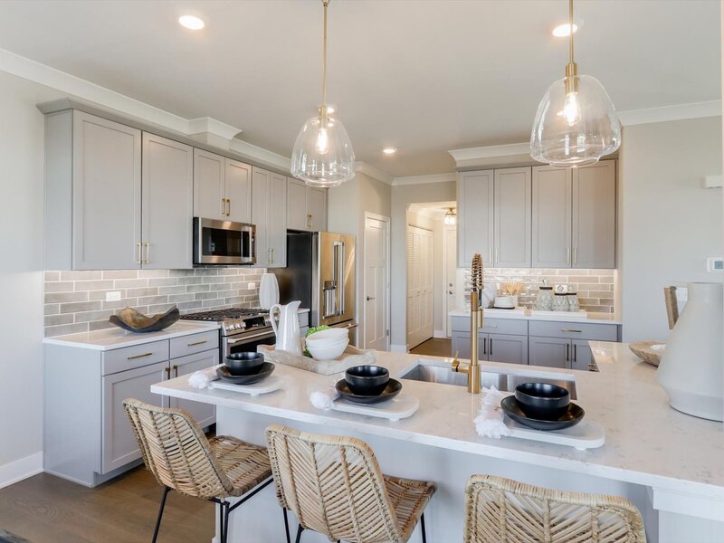 25537 W Emory Lane Plainfield IL 60544