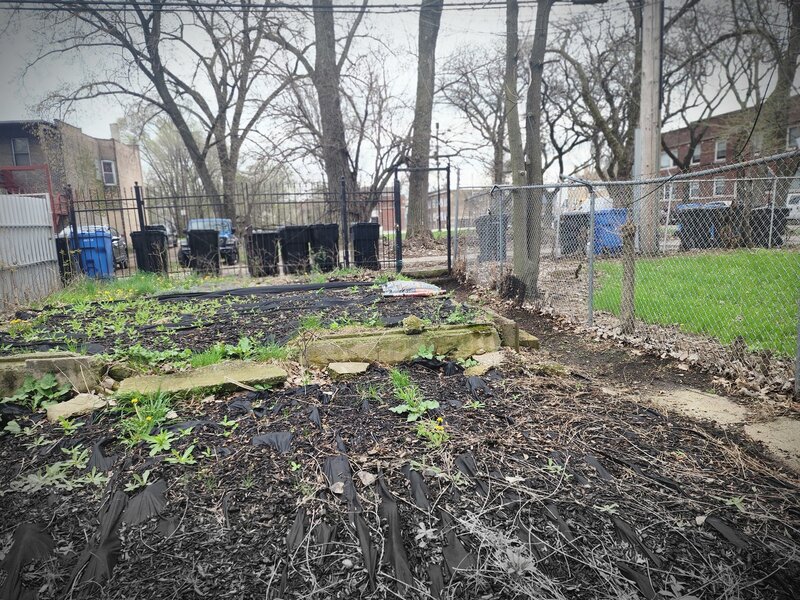 6953 S Elizabeth Street Chicago IL 60636