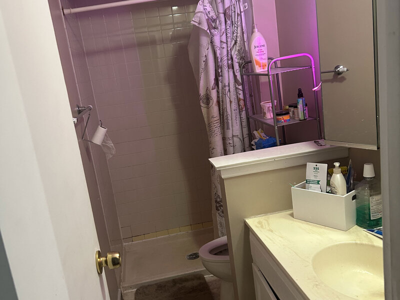1462 Carol Court Palatine IL 60074