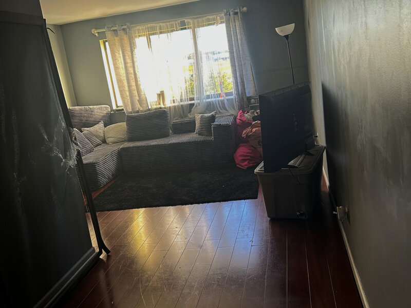 1462 Carol Court Palatine IL 60074
