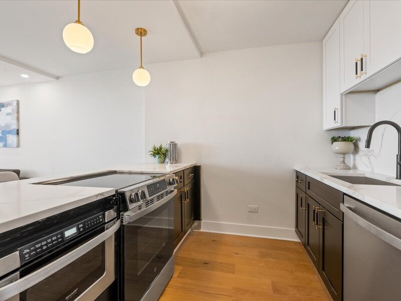 1560 N Sandburg Terrace Chicago IL 60610
