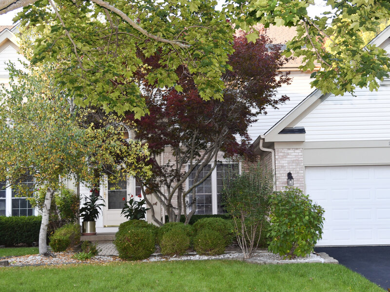 1218 Meadowlark Lane Grayslake IL 60030